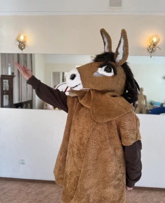 Donkey mask for the P 1807