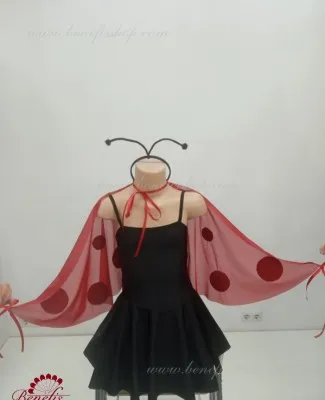 Ladybug R 0624