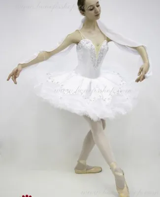 Ballet costume P 1520