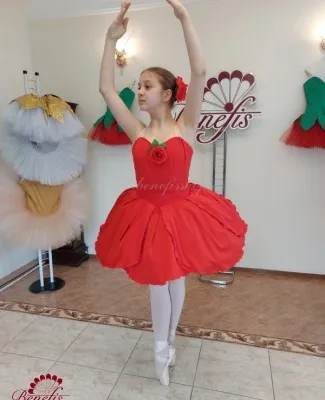 Stage ballet costume  P 3105