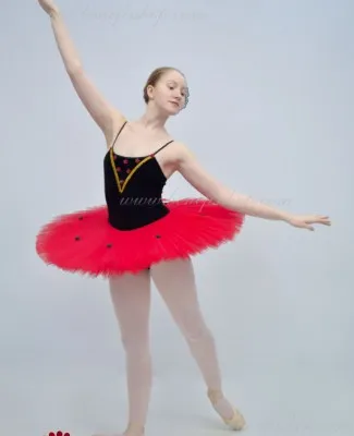 Paquita  P 1311