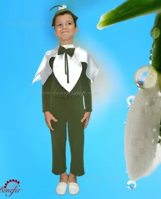 snowdrop H 0009
