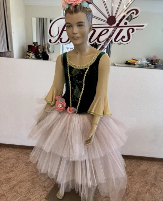 Stage costume P 2509(2527)