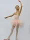 Basic and rehearsal tutu T 0020 - image 4