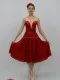Costum pentru scena T 0018 - image 21