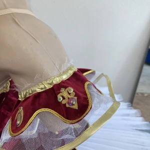 Soloist costume P 1302 - image 6