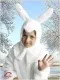 Rabbit R 0213 - image 5