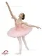 Balet tutu Aurora F 0009 - image 2
