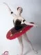 Soloist costume  P 0328 - image 4