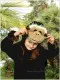 Monkey R 0230 - image 6