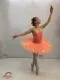 Stage ballet costume T 0014C - image 5