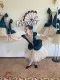 Stage ballet costume T 0061 - image 8