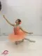 Professional basic tutu T 0014D - image 3