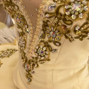 Stage ballet costume for various roles The Nutcracker Sleeping Beauty P0469 - image 25
