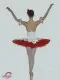 Soloist costume P 1302B - image 15