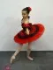 Costum pentru scena F 0254 - image 3