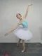 Rehearsal tutu T 0001N - image 3