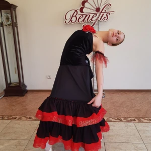 Stage costume P 0348 - image 6