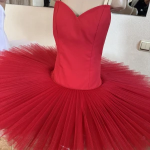 Professional basic tutu with a simple decor T 0014 - image 35