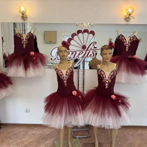 Ballet costume P 2010 - image 4