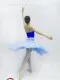 Rehearsal tutu T 0001G - image 10