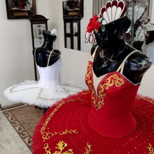 Stage ballet costume for various roles Snowflakes Nutcracker F 0001 - image 158