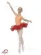 Tutu skirt without sparkles E 0004 - image 2