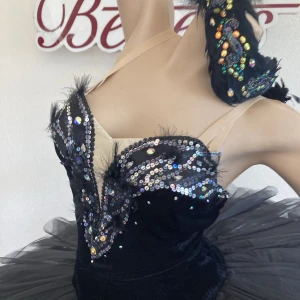 Black Swan P 0115 - image 13