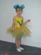 mimosa H 0016 - image 2