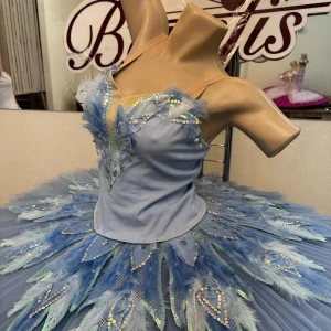 Blue Bird P 0416(5001) - image 2