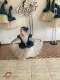 Stage ballet costume T 0061 - image 12