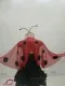 Ladybug R 0624 - image 3