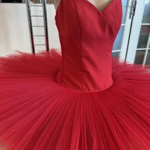Professional basic tutu with a simple decor T 0014 - image 37