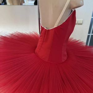 Professional basic tutu with a simple decor T 0014 - image 38