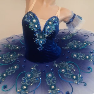 Blue bird P 0481 - image 6