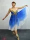 Stage costume F 0248 - image 4
