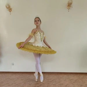 Costum pentru scena F 0102 - image 33