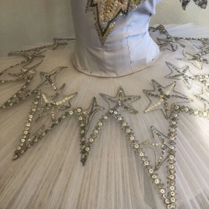 Ballet costume Marie, Clara  Fairy Dragee Sugar Plum Fairy Nutcracker Pas de deux Sleeping Beauty Coppelia P 0202(5057) - image 4