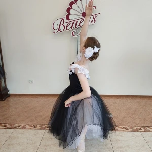 Stage costume T 0056 - image 16