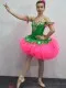Ballet costume Flowers Waltz Sleeping Beauty Nutcracker F 0062A - image 17
