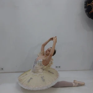 Stage costume F 0456 - image 25