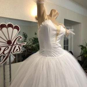 Costum pentru Willis F 0027 - image 22