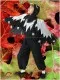 Crow R 0229 - image 2