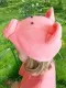 Pig R 0231 - image 2