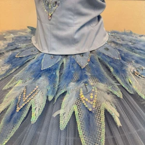 Blue Bird P 0416(5001) - image 7