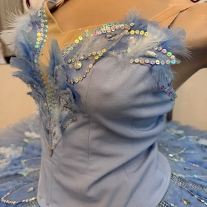 Blue Bird P 0416(5001) - image 5