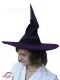 Witch's hat R 0146 - image 2