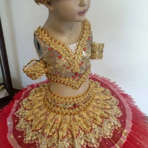Costum pentru scena F 0081D - image 20