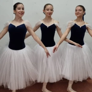 Snow White F 0201 - image 19