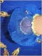 Stage costume  F 0016 - image 23